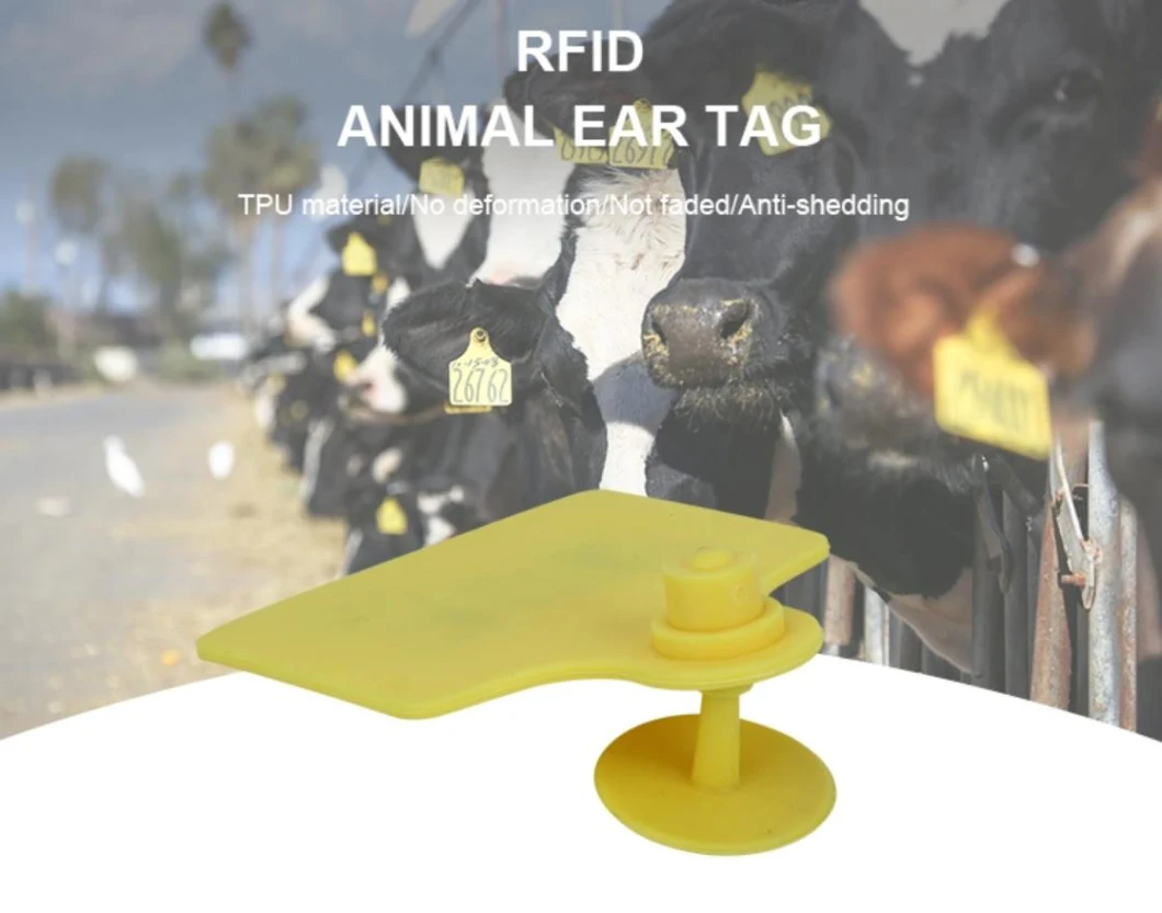 860MHz-960MHz Long Range Reading Distance RFID UHF Animal Ear Tag for Cattle