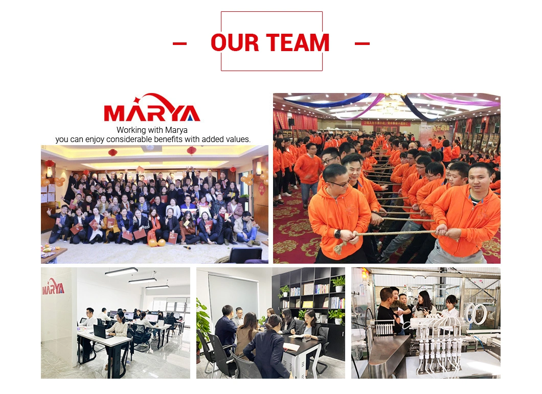 Marya Grade Cleanroom System Clean Steel Doors for HVAC Cleanroom Supplier