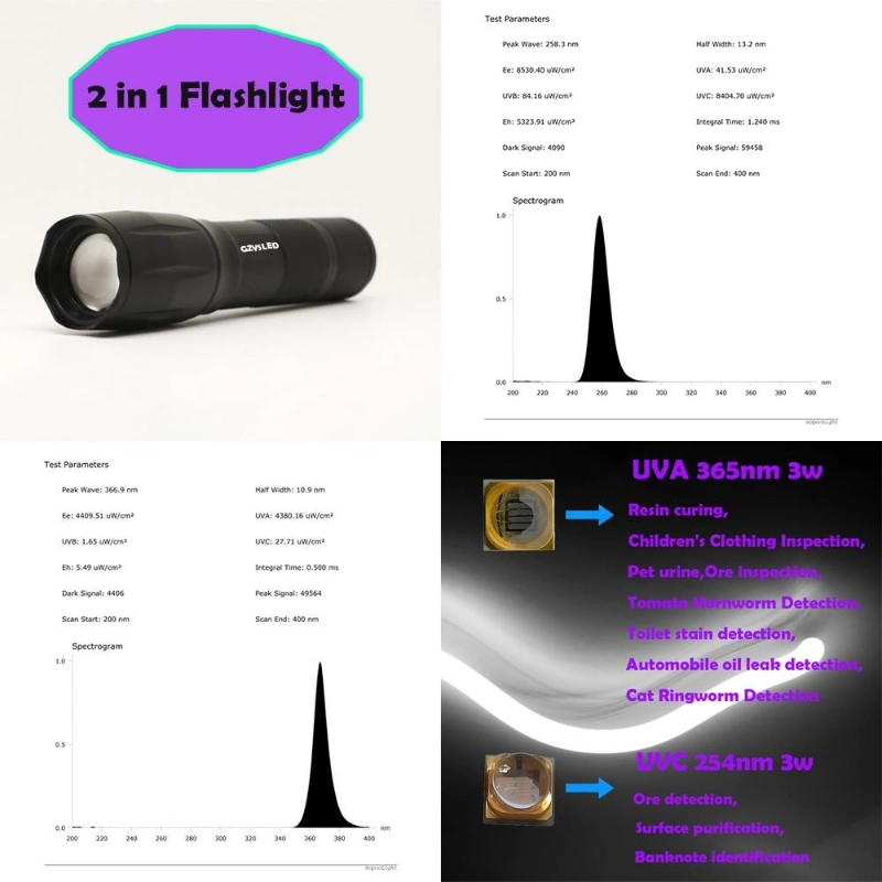 Customized Adjustable Focus LED 3W Bi Wavelength UV Flashlight 365nm with 254nm in One Torch UVC with UVA Lamp