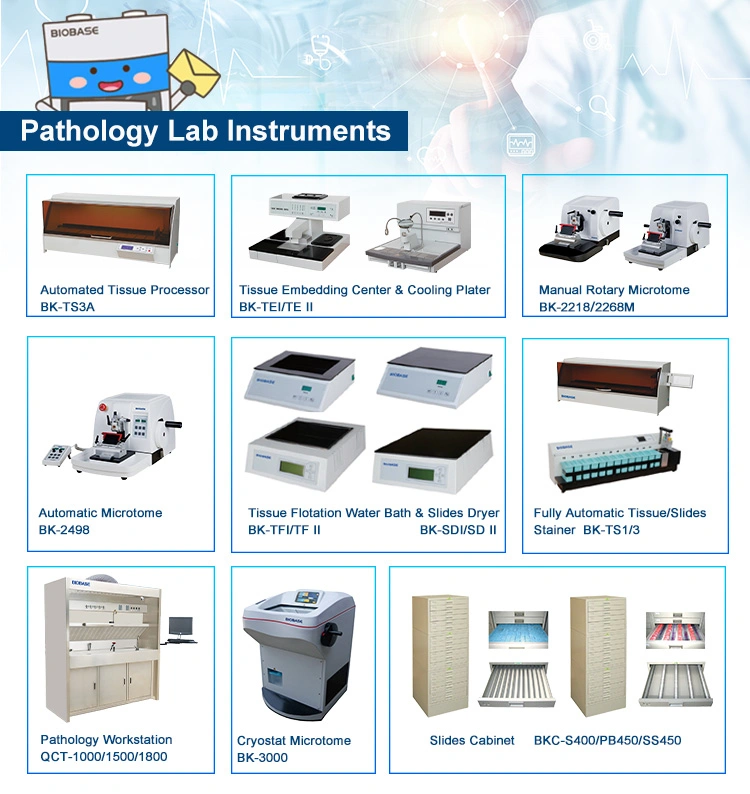 Biobase 4 Channels Fluorescence Detection Real Time PCR Machine for Lab