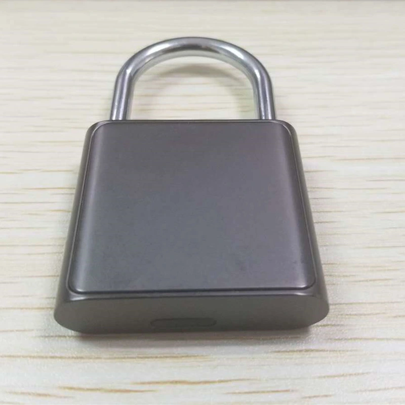 Free Shipping Smart Fingerprint Padlock with USB Charge