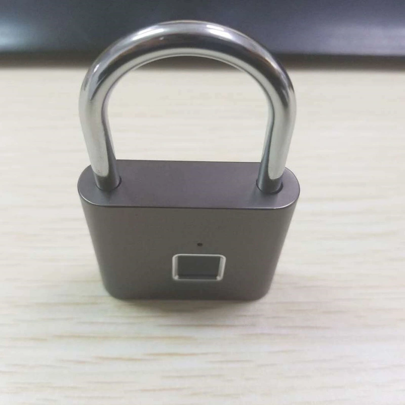 Free Shipping Smart Fingerprint Padlock with USB Charge