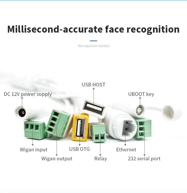 Human Body Temperature Detection and Face Recognition English Broadcast Measurement