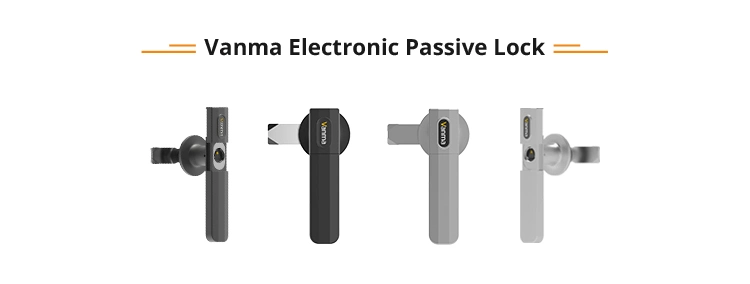 Top Ssfe Vanma Handle Locks for Most Doors with Fingerprint Keys