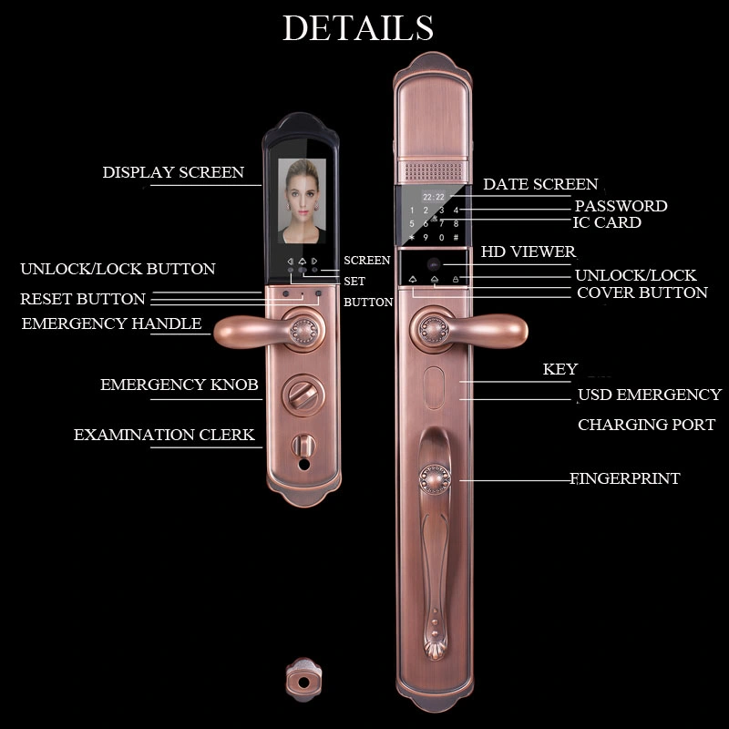 Villa Entrancy Door Visible Fingerprint Password Smart Lock