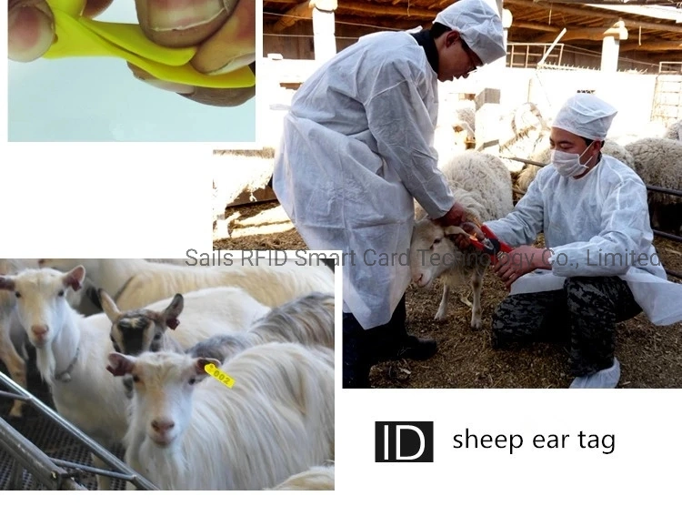 Long Range Reading EPC Gen 2 UHF RFID Ear Tag for Livestock Smart Management