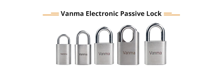 Vanma Black Globe Padlock Cards Security Fingerprint Padlock