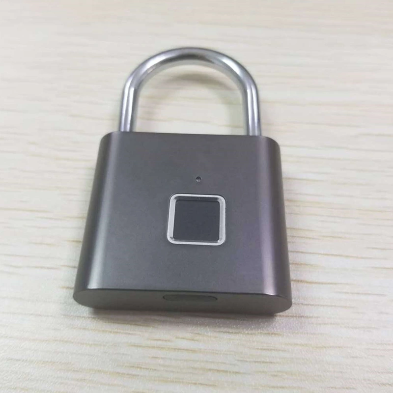 Free Shipping Smart Fingerprint Padlock with USB Charge