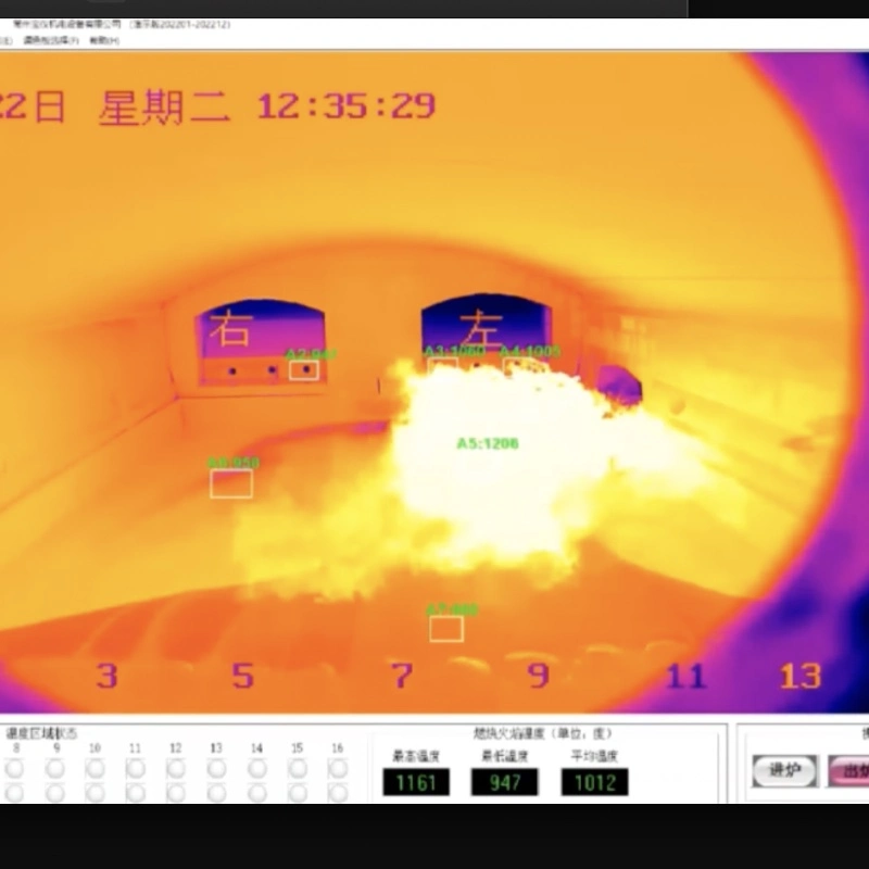 High Temperature Thermal Imaging Monitoring System with Temperature Measurement