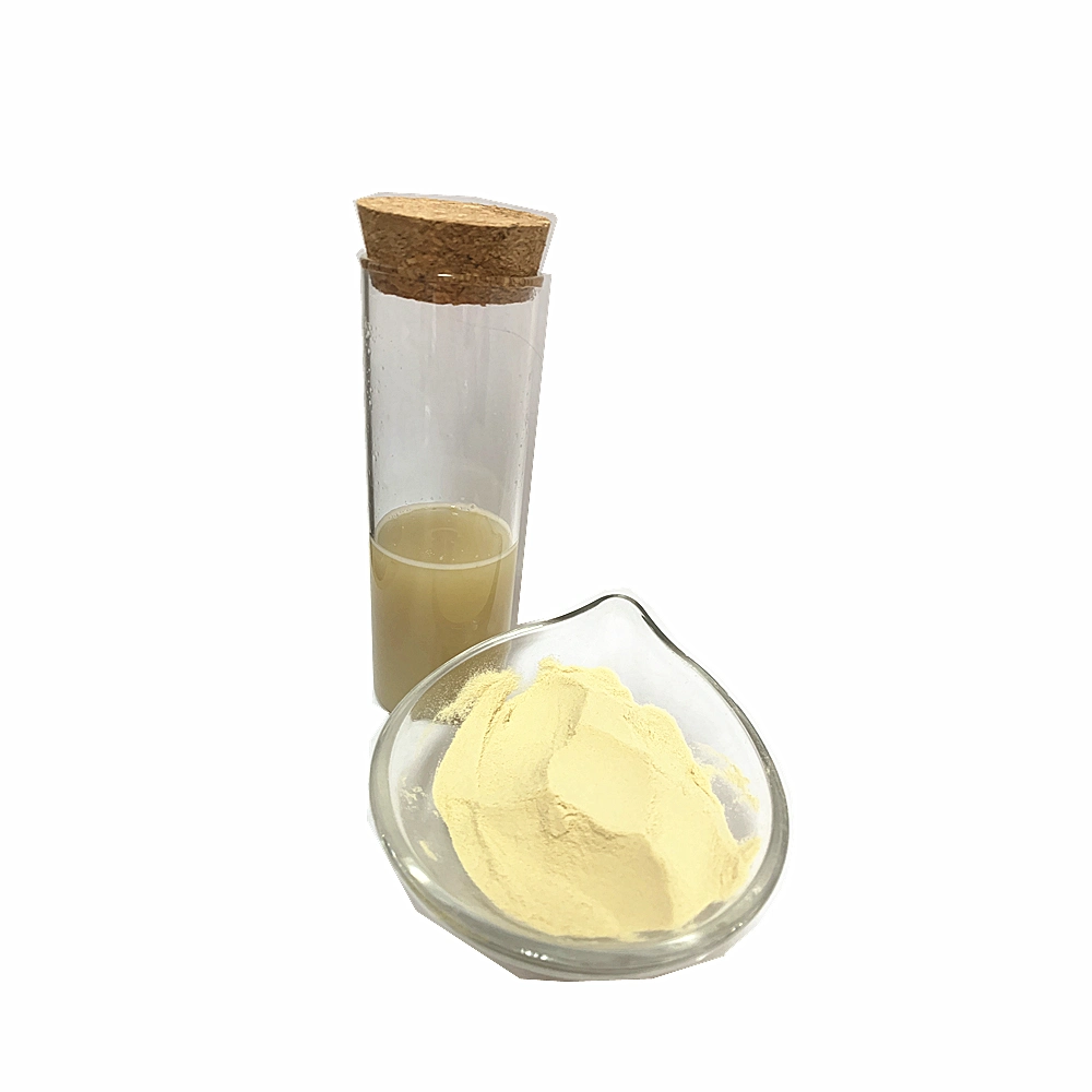 Spray Dried Ginger Powder Ginger Ground for Tea and Food Ingredient