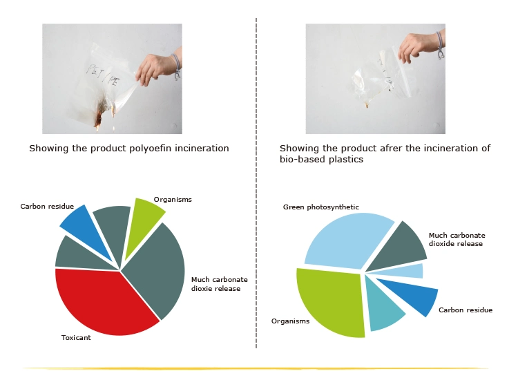 Renewable Doypack Plastic Zipper Bag for Protein Powder