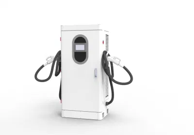 DC60kw EV Charging Station China Manufacturer OEM ODM with Single Double Gun with Ocpp1.6j