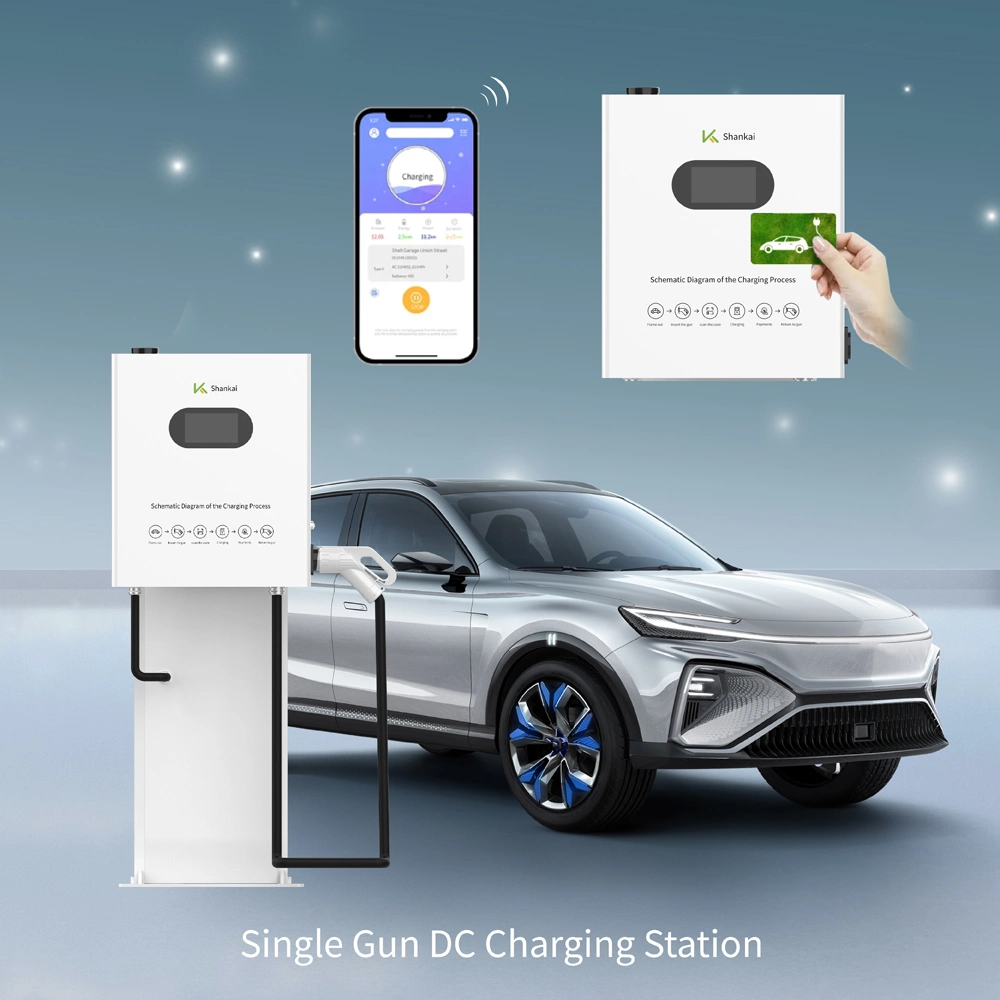 Wholesale Price 20kw LCD Level 3 Gbt Wall Mounted Ocpp Evse DC Commercial EV Charging Station with Payment