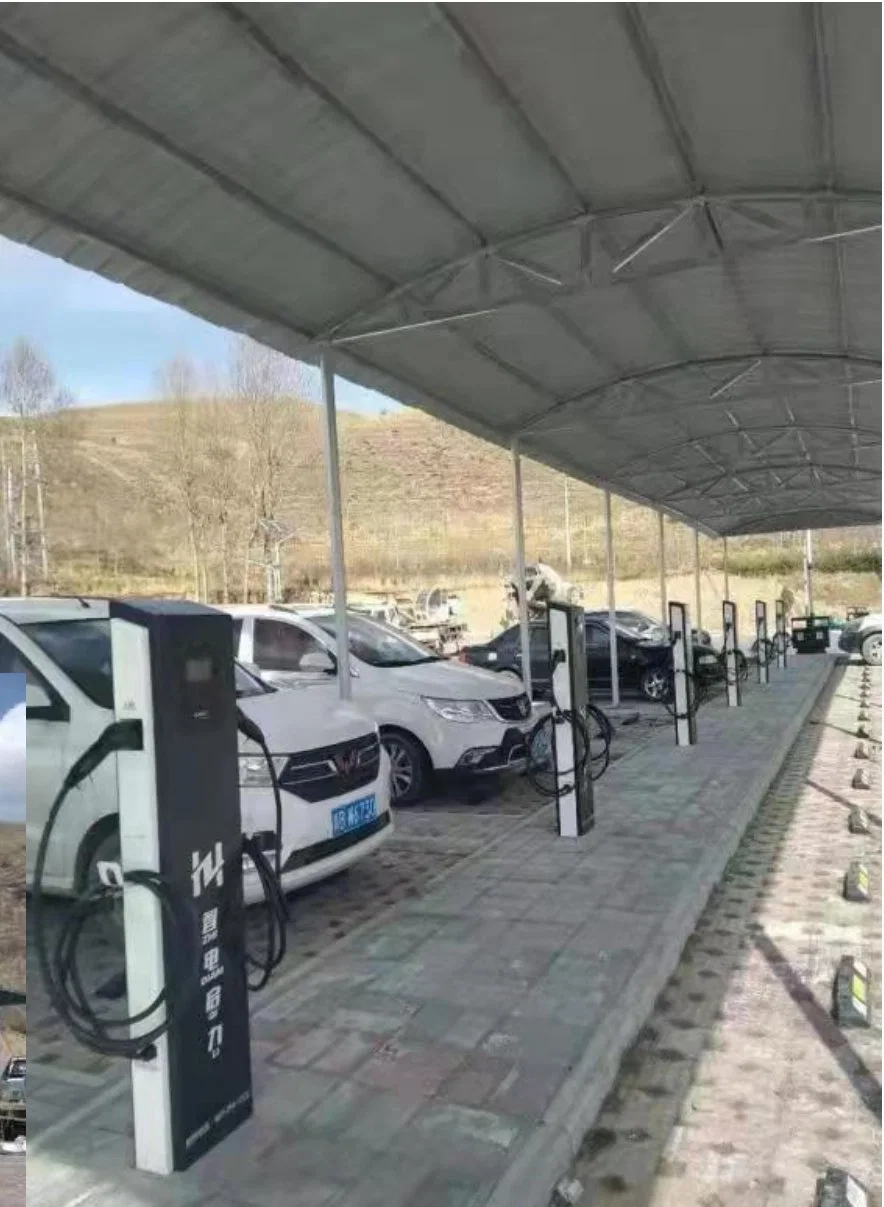 Electric Vehicle Car Charger Made in China