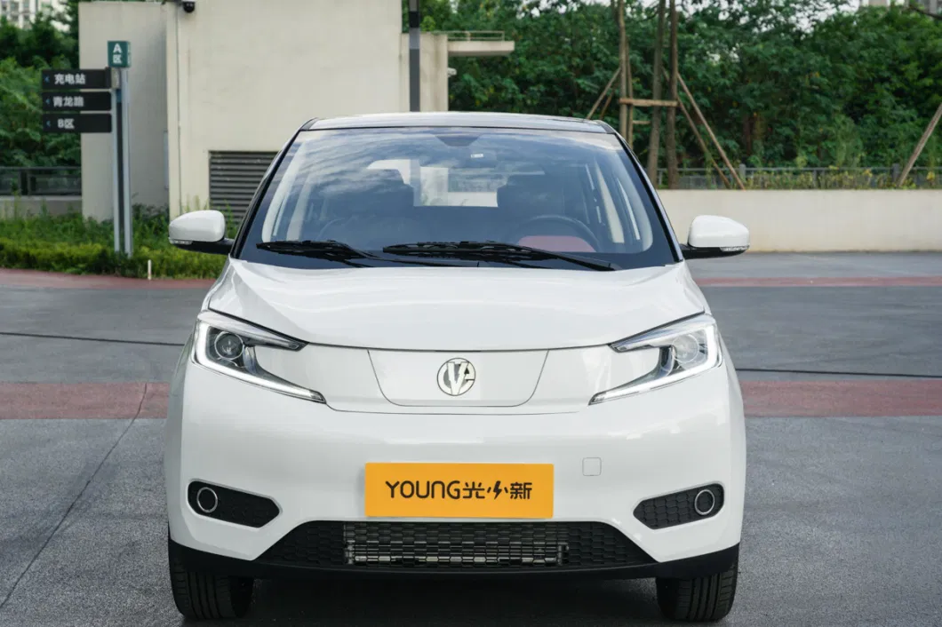 Manufacturer Direct Selling Compact Electric Cars Young Guangxiaoxin Micro Charging Car with Wvta