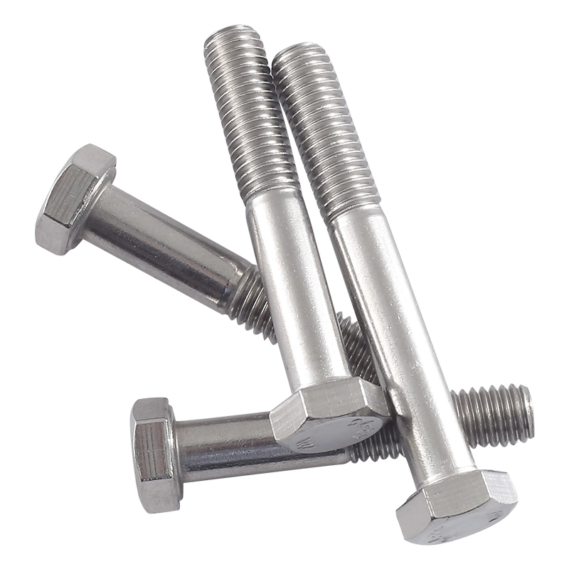 Stainless Steel Coach Screws DIN 603 Hot DIP Zip Garage Door Smooth Carriage Bolt