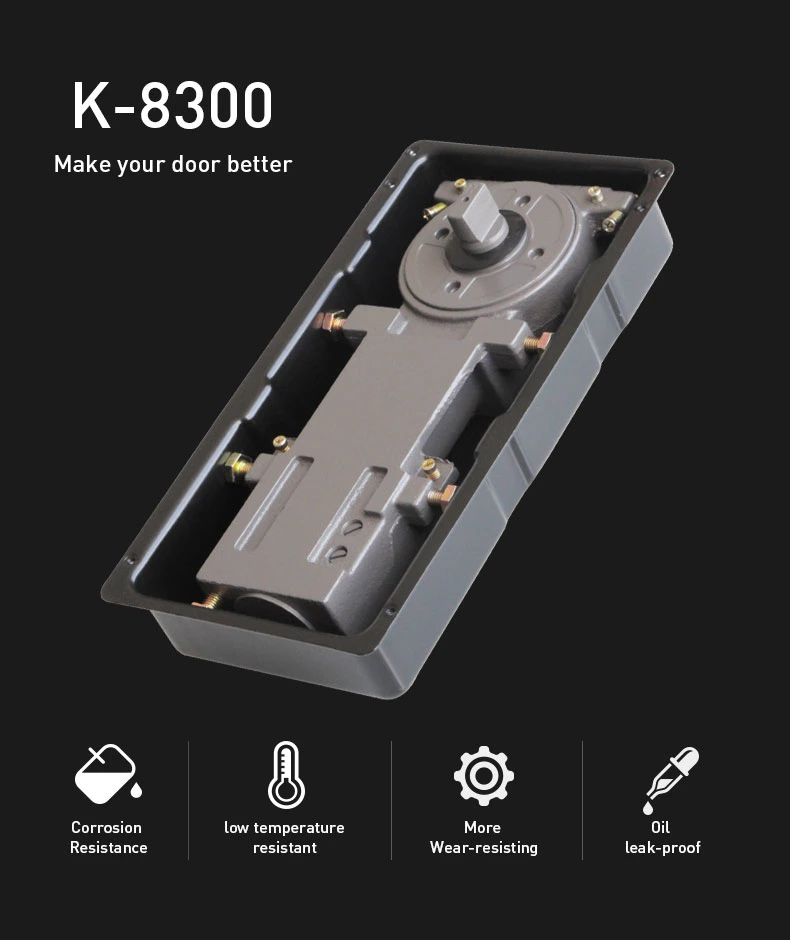 King Quality Korea Popular Model Glass Door Floor Spring K-8300