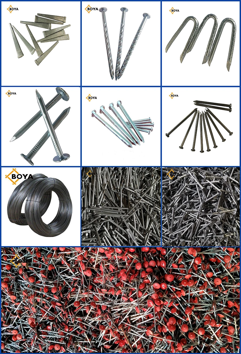 Factory Supply Black Annealed Wire with 25kg Per Coil