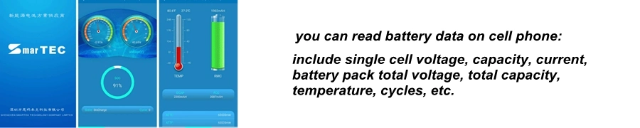 High Performance Battery Manufacturing 12V 100ah Power Supply for Electric Forklift/Electric Scooter/Electric Vehicle