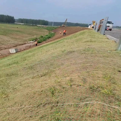 Geosynthetic Mat for Soil Erosion Control and Grass Stabilization