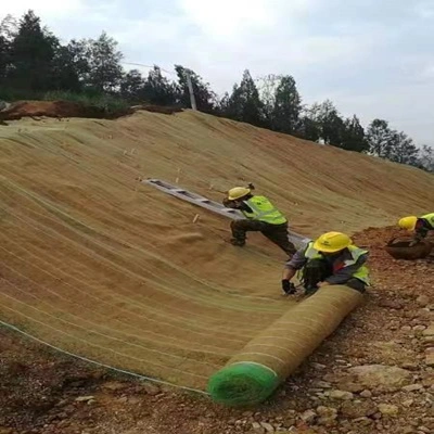 Geosynthetic Mat for Soil Erosion Control and Grass Stabilization