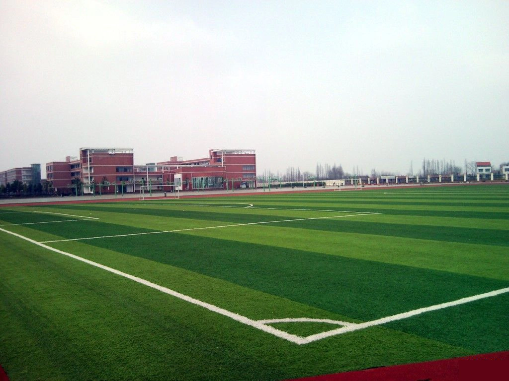 Turf Synthetic Grass Mat Ground Artificial Grass for Football Fields Synthetic Lawn Grass Carpet Green Carpet Gym Turf