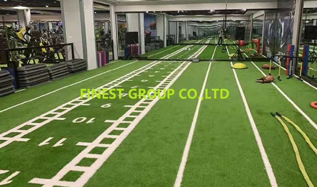 Sled Running Track Astro Turf, Grass Carpet Gym Mat for Fitness Gym Indoor Sled Running Track