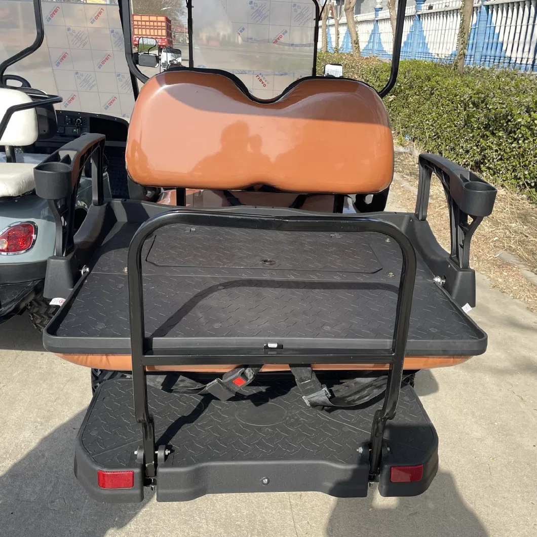 Manufacturer Wholesale 2 Seats Electric Golf Cart with 100km Mileage off Road Electric Buggy Hunting Car