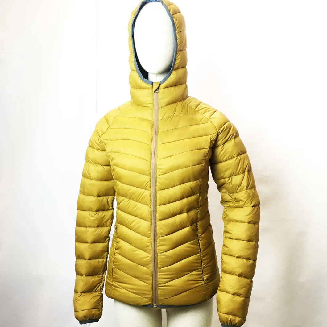 Ladies&prime; Nylon Water Repellant Fake Down Jacket, Winter Jacket, Women Jacket, Outdoor Wear, Winter Clothing, Filling Jacket, Fashion Fake Down Jacket