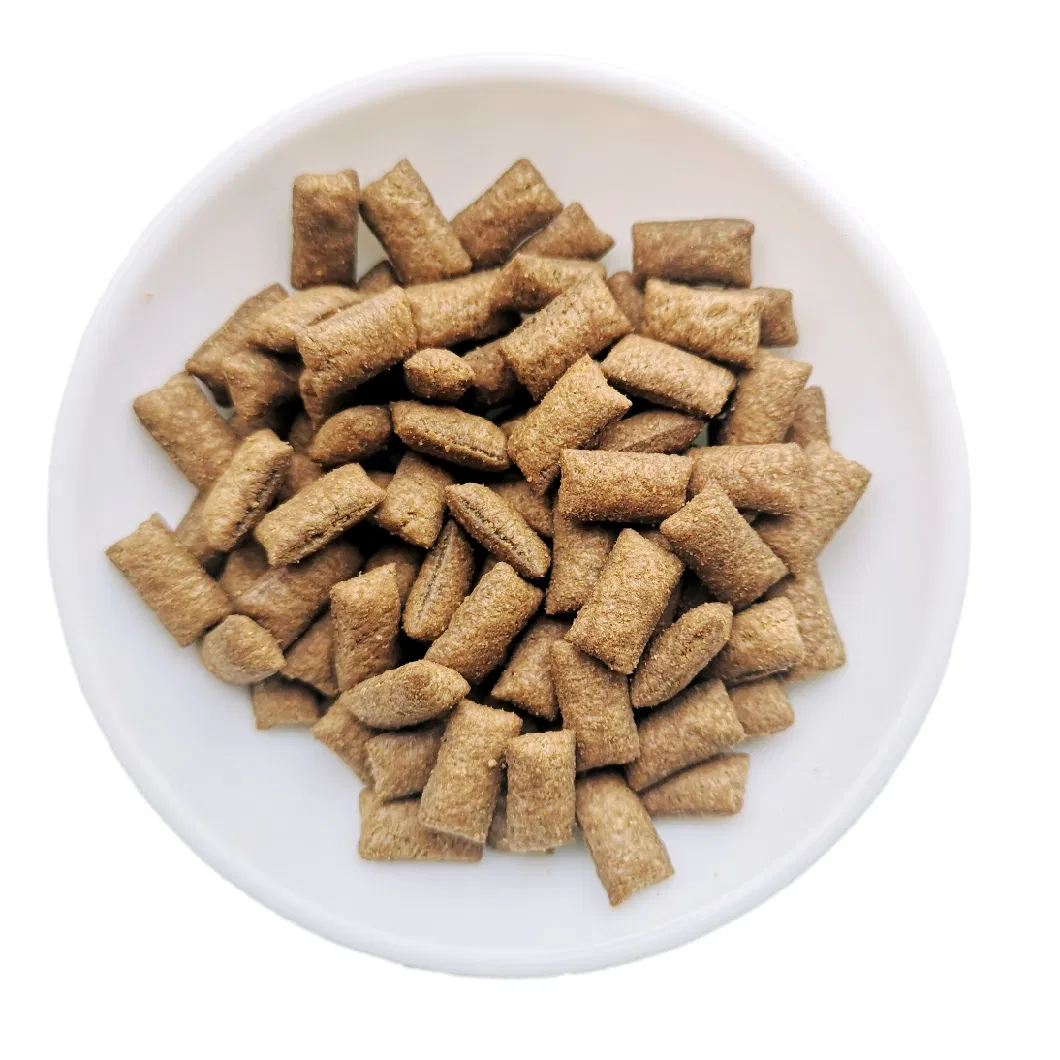 Natural Organic Cat Crunchy Treats Salmon Cat Snacks Dog and Cat Food