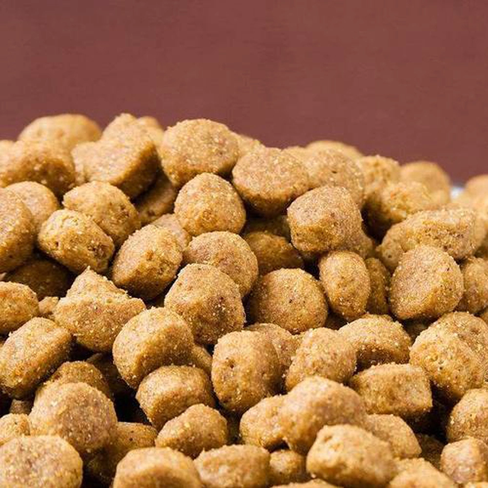 Factory Direct Sales Wholesale Bulk Hot Selling Chewy Dog Food Pet Food