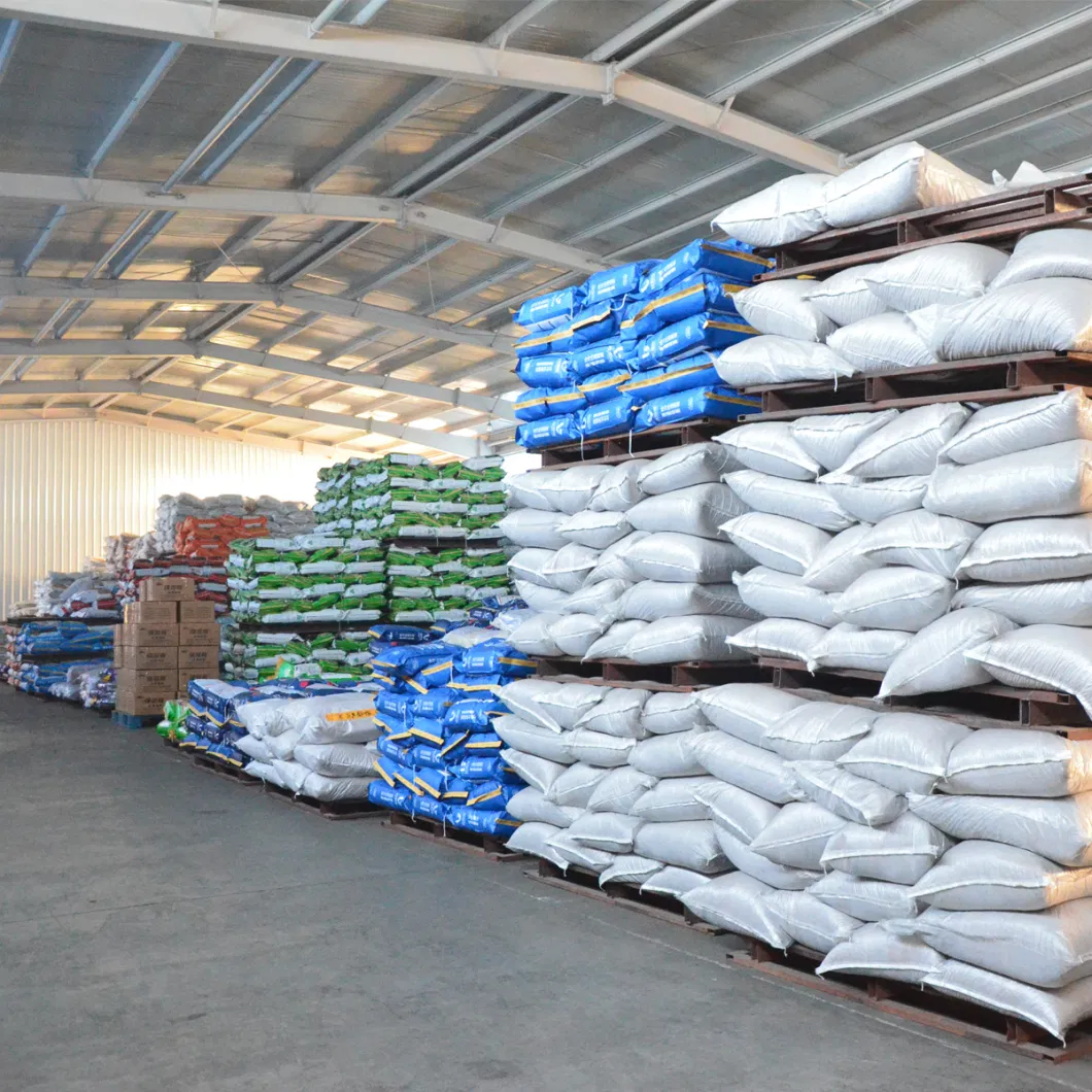 Wholesale of High-Quality Dog Food in Bulk From Factories