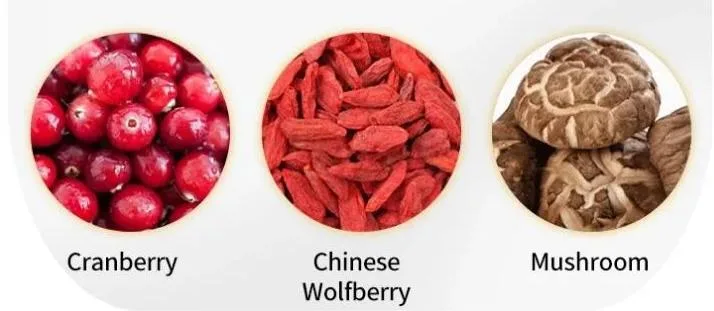 Wholesale Bulk Dog Food Teddy Dog Dry Food Nutritious Pet Food for Dog