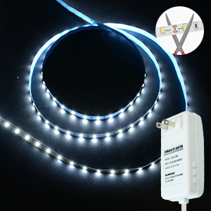 Jesled DC 12V 24V Dimmable Flexible LED Light Strip Super Bright White SMD 2835 LED Strip Light with Adapter