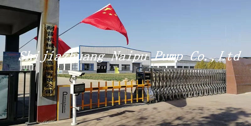 Naipu 8 Inch Trash Solids Pumping Machine Sharp Hard Horizental Slurry Pump for Mining with CE