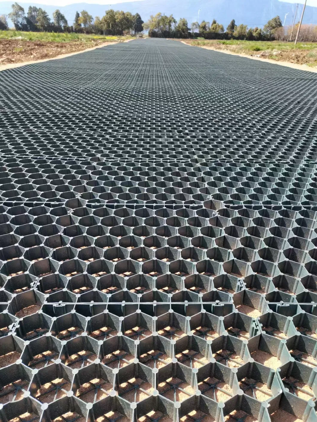 Parking Lot Plastic Grids Grass Pavers Use for Garden