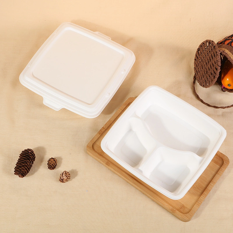 Newest Degradable Fast Food Plate Student Canteen Five-Grid Rice Plate Chinese Disposable Dinner Plate