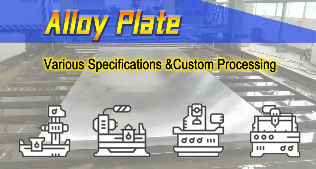 Monel/Incoloy/Inconel 601 625 718 725 Anti Corrosion Alloy Plate for Seal Components