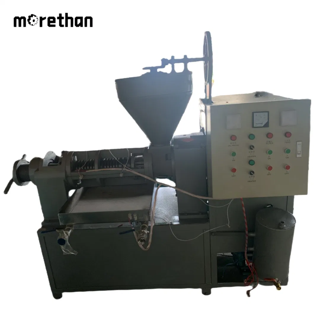 Hot Sale Electric Driven Screw Cold Press Oil Machine Oil Mill