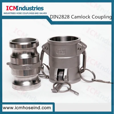  DIN2828 Reducer Dd Type Hose Quick Coupler/Camlock Coupling