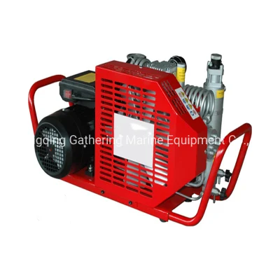  300 Bar Electric Air Compressor Air Breathing Apparatus Inflator Pump for Scba