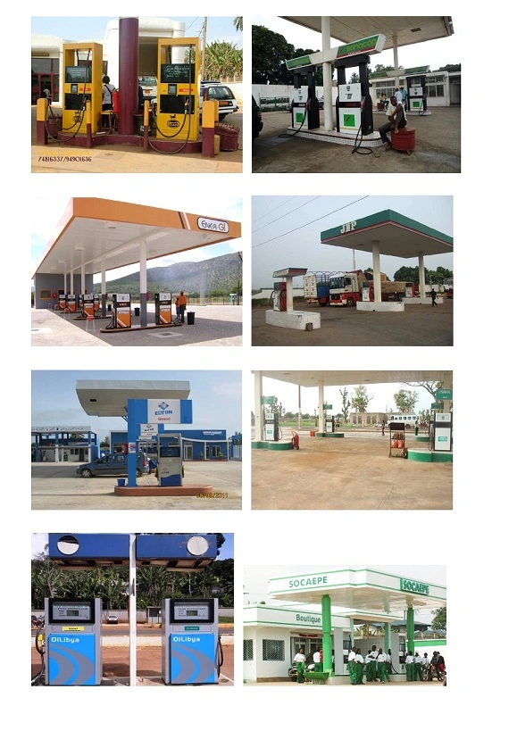 Petrol Dispenser Fuel Pumps Double Hose Suction Type