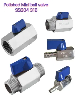 1,4408 Mini FF mm MF Ball Valve Acero inoxidable CE0036 CF8M CF8 reducir el diámetro interno rosca/ boquilla de manguera espejo pulido Sanitario Industria alimentaria 1/4&quot;-1&quot; Pn64/63 1000psi
