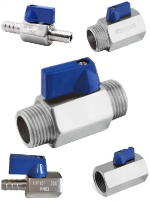 1,4408 Mini FF mm MF Ball Valve Acero inoxidable CE0036 CF8M CF8 reducir el diámetro interno rosca/ boquilla de manguera espejo pulido Sanitario Industria alimentaria 1/4&quot;-1&quot; Pn64/63 1000psi