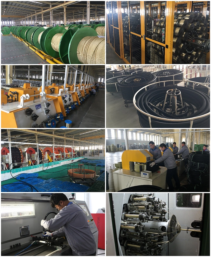 High Pressure Hydraulic Pressure Rubber Fuel Line Oil Deliveryhose