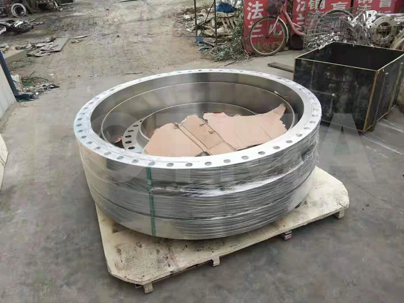 Carbon Steel Stainless Steel Forged Flanges Oil/Gas Pipe Flange