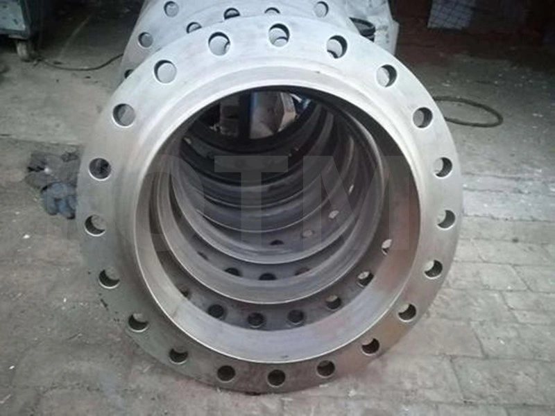 Carbon Steel Stainless Steel Pipe Fitting Pipe Forging Flanges