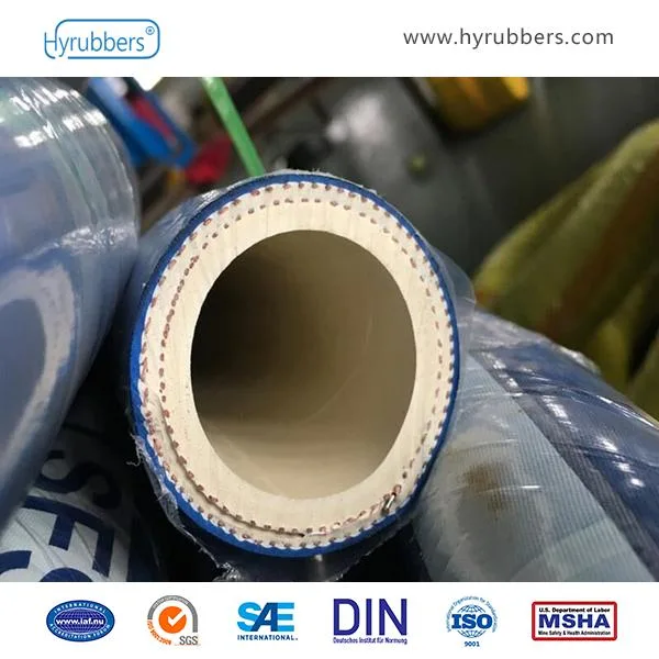 Flexible Hose with DIN En 857 2sc Standard