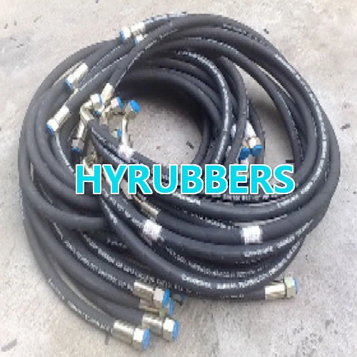 Flexible Hose with DIN En 857 2sc Standard