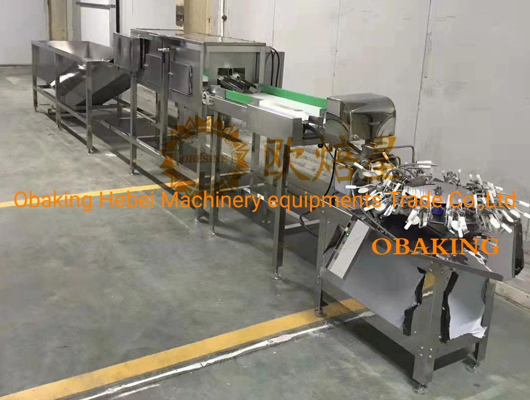 China Best Bakery Solution Essential Baking Machinery for Automatic Cake Production Line